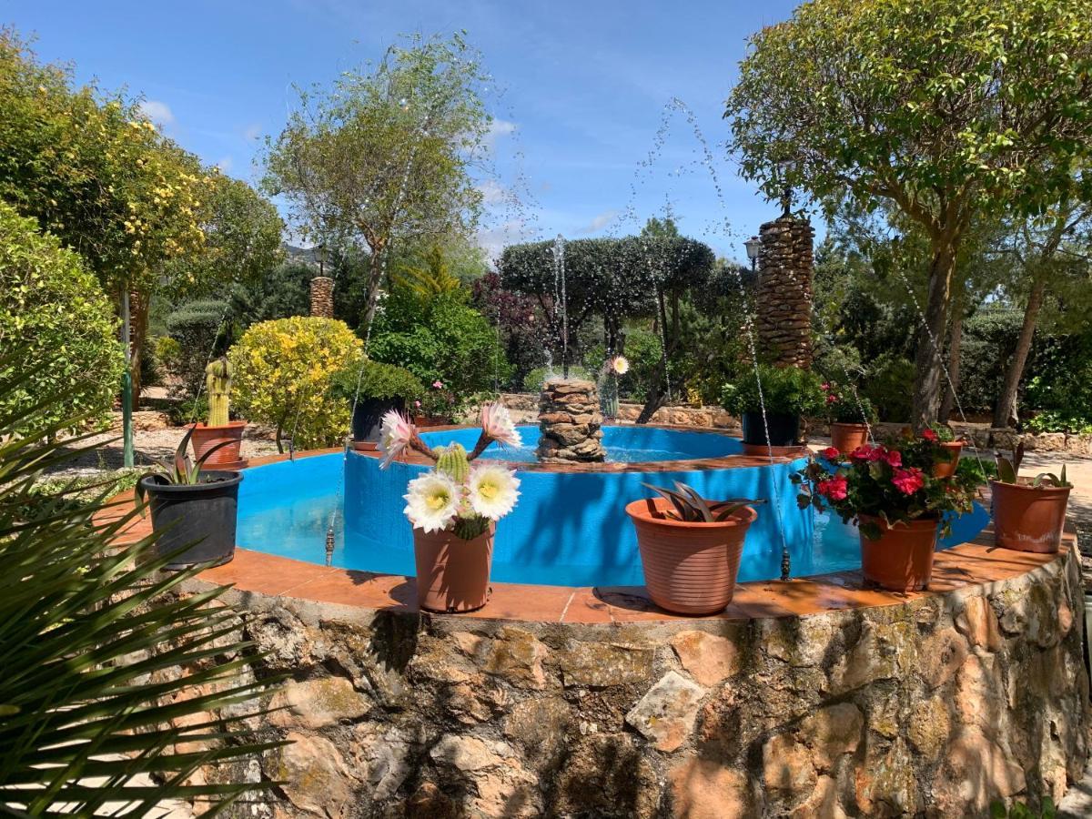 Torcales Del Lobo Apartamentos Rurales 波索爱尔康 外观 照片