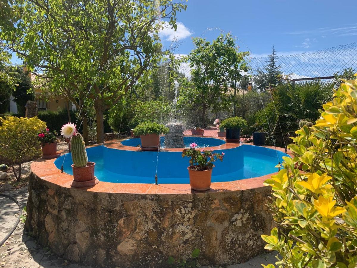 Torcales Del Lobo Apartamentos Rurales 波索爱尔康 外观 照片