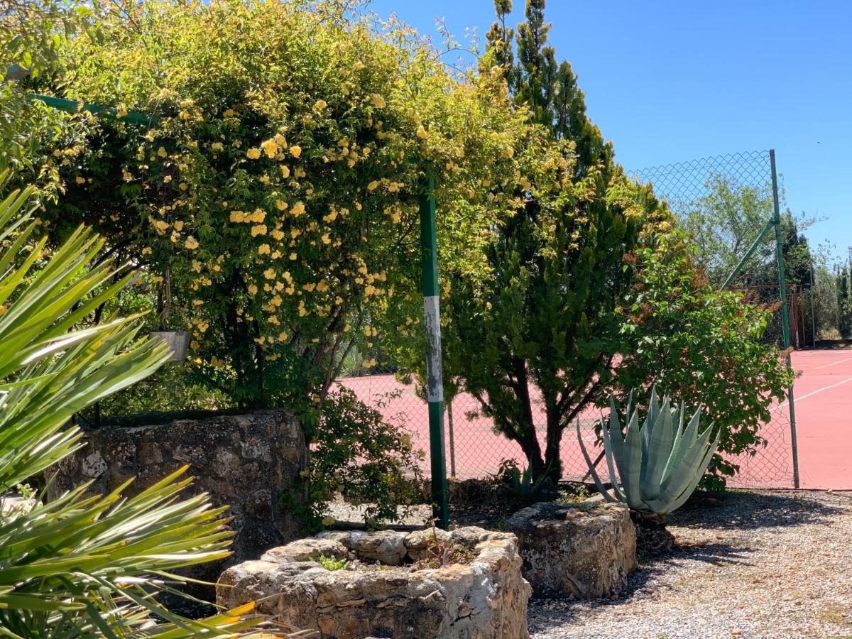 Torcales Del Lobo Apartamentos Rurales 波索爱尔康 外观 照片